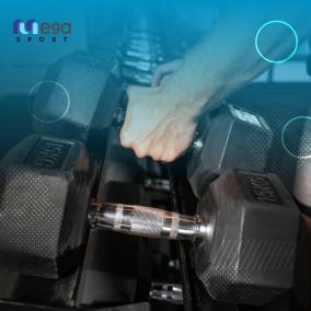 https://www.megasport-eg.com/دامبلز