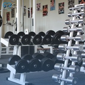 حامل دامبلز وطارات