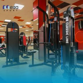 المالتي جيم