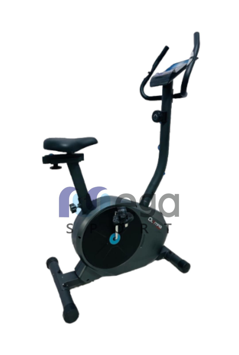 عجله ماجنتيك 250