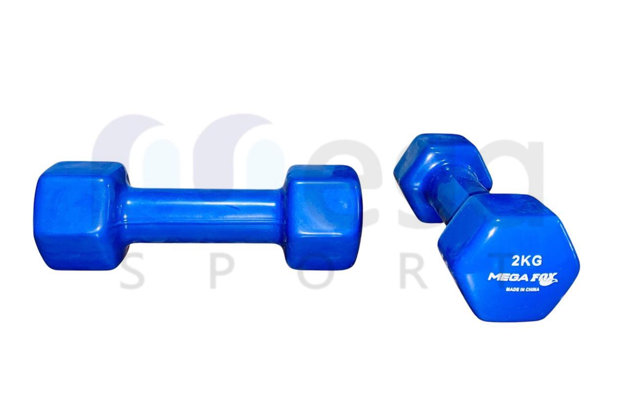 2 دامبلز فينيل 2ك