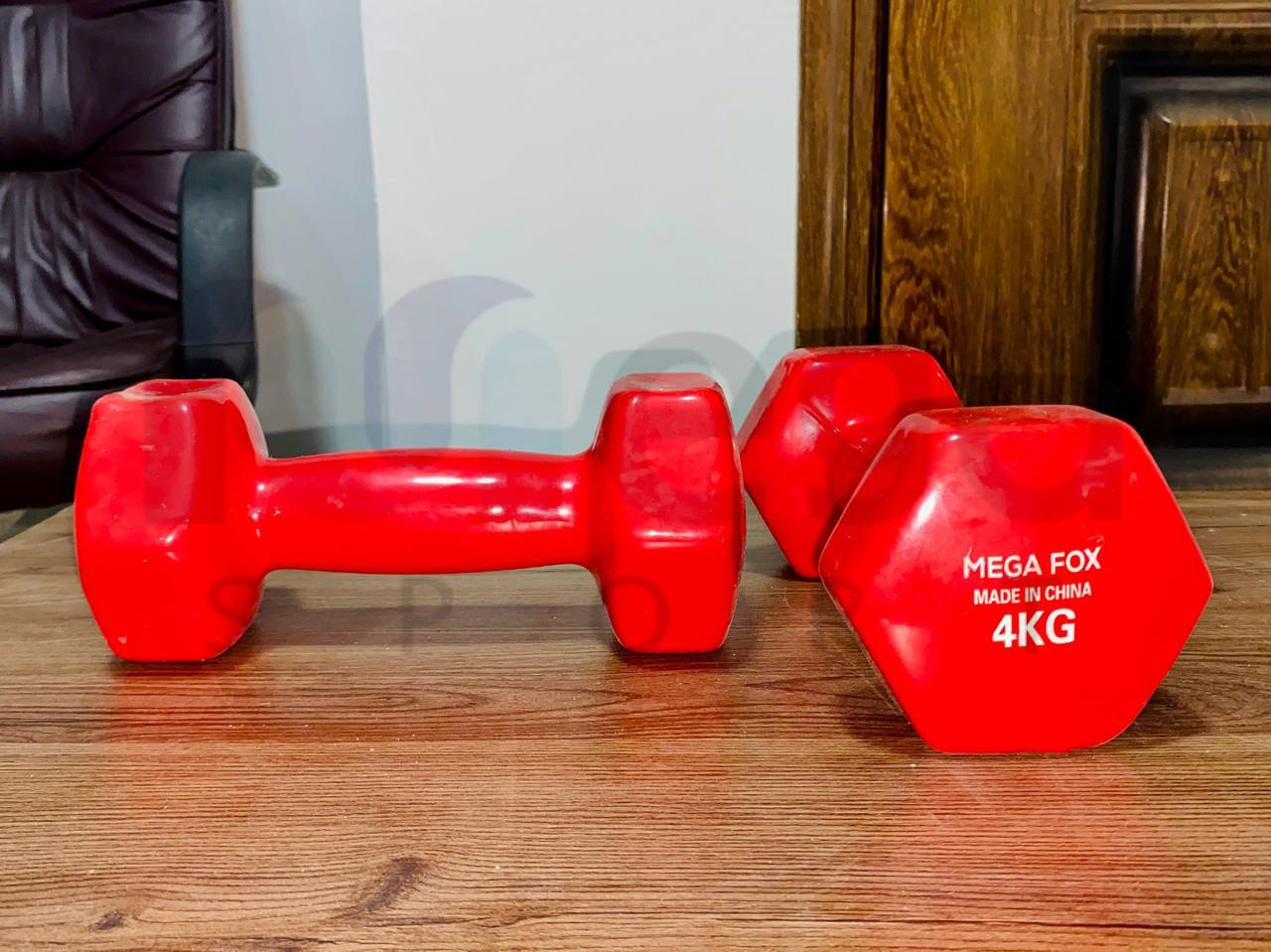 2 دامبلز فينيل 4ك